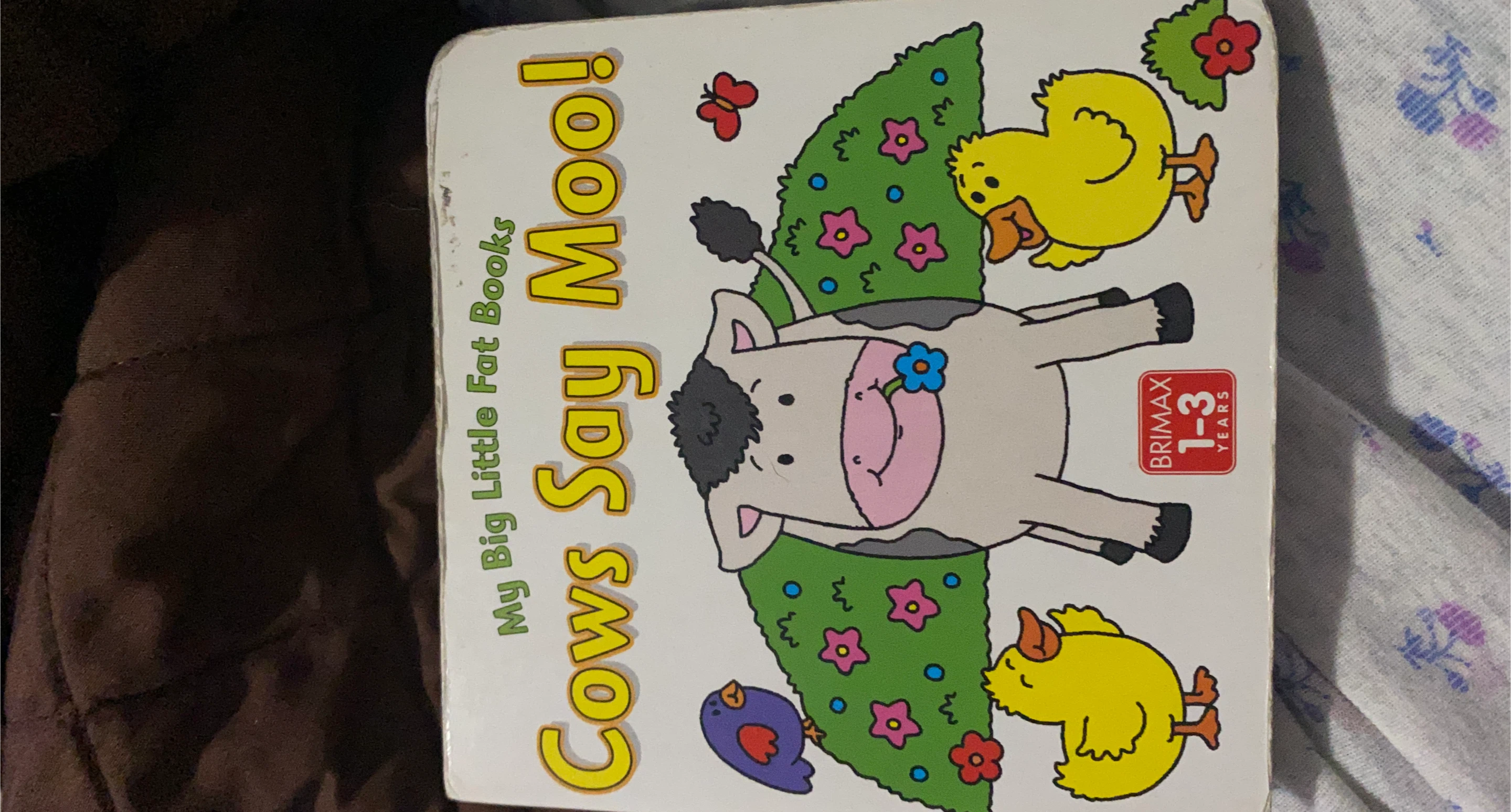 My Big Little Fat Books: Cows Say Moo!