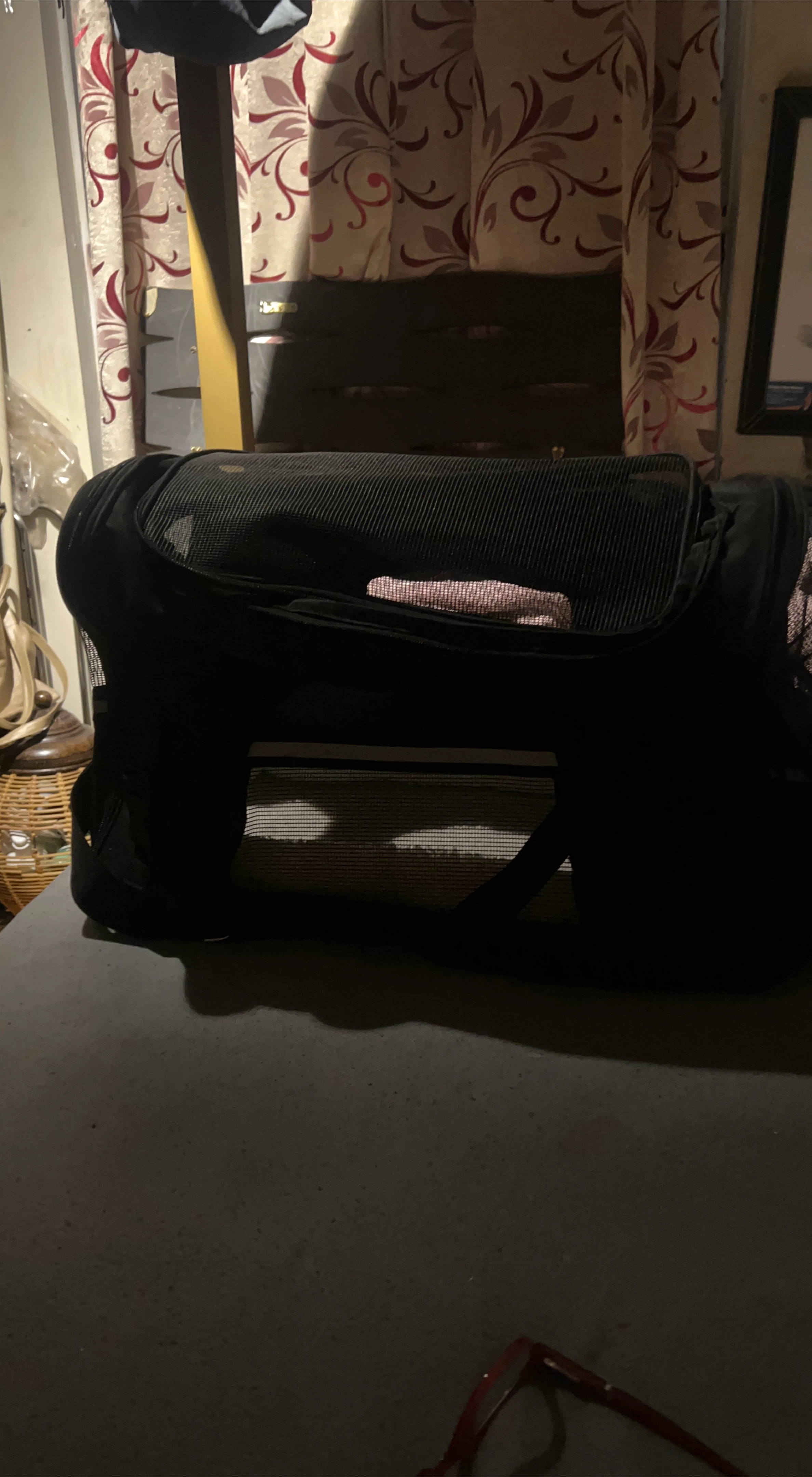 Black Pet Carrier Bag with Mesh Windows