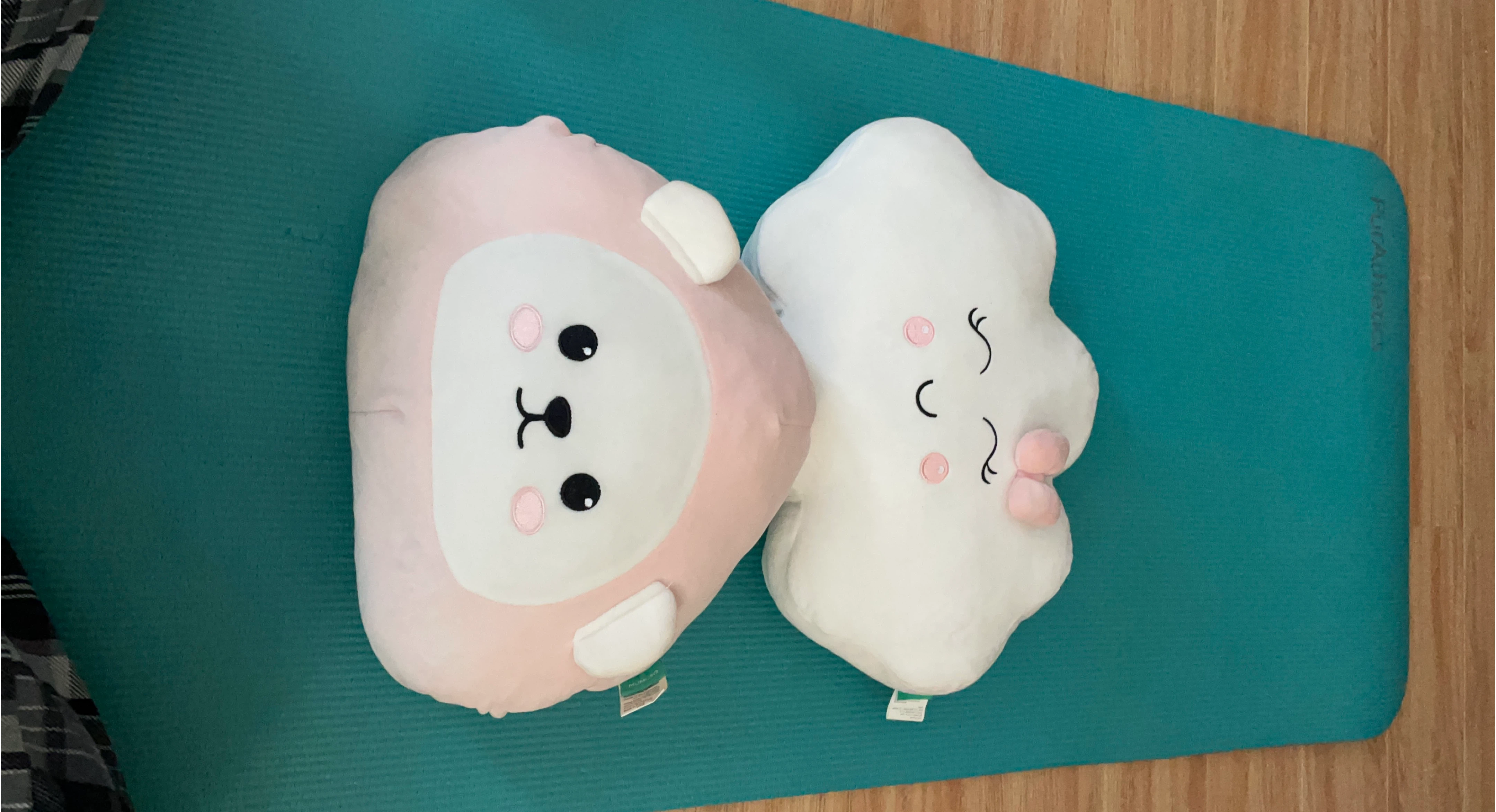 Set of 2 Plush Toys - Pink Bear and White Cloud