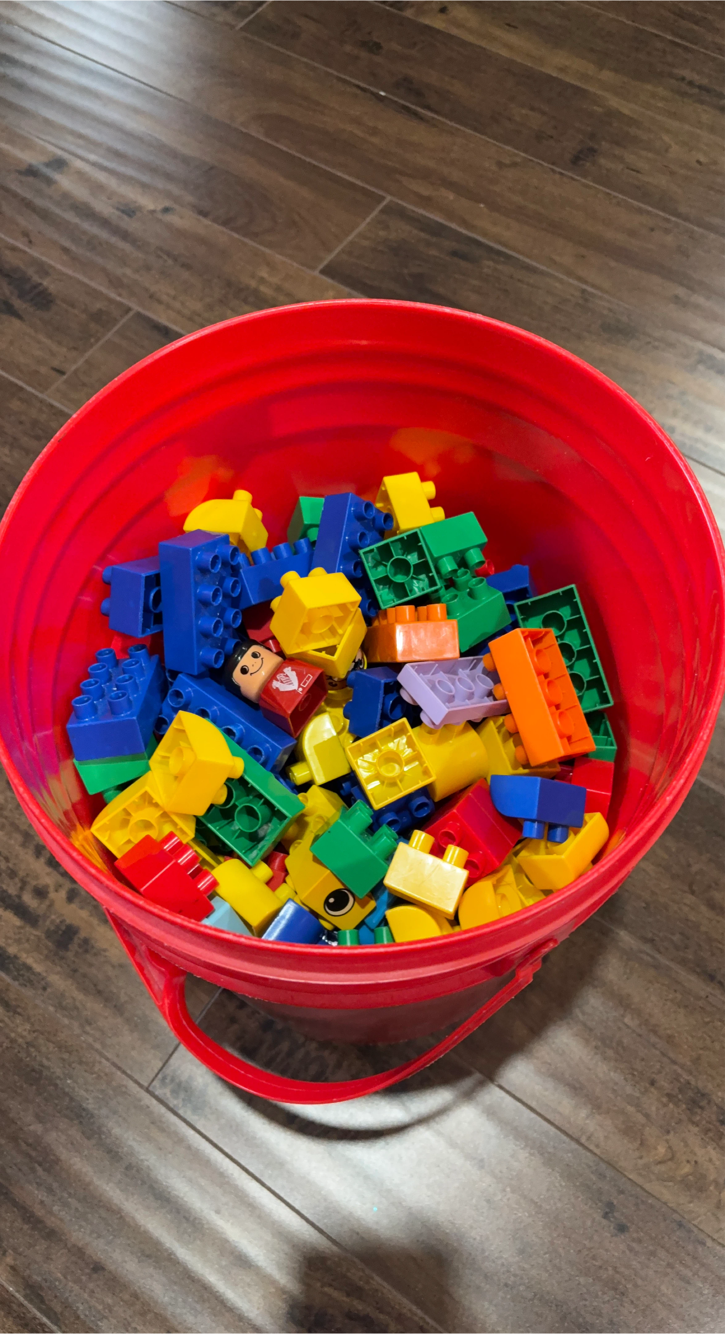 250 pieces LEGO DUPLO Building Blocks Bucket