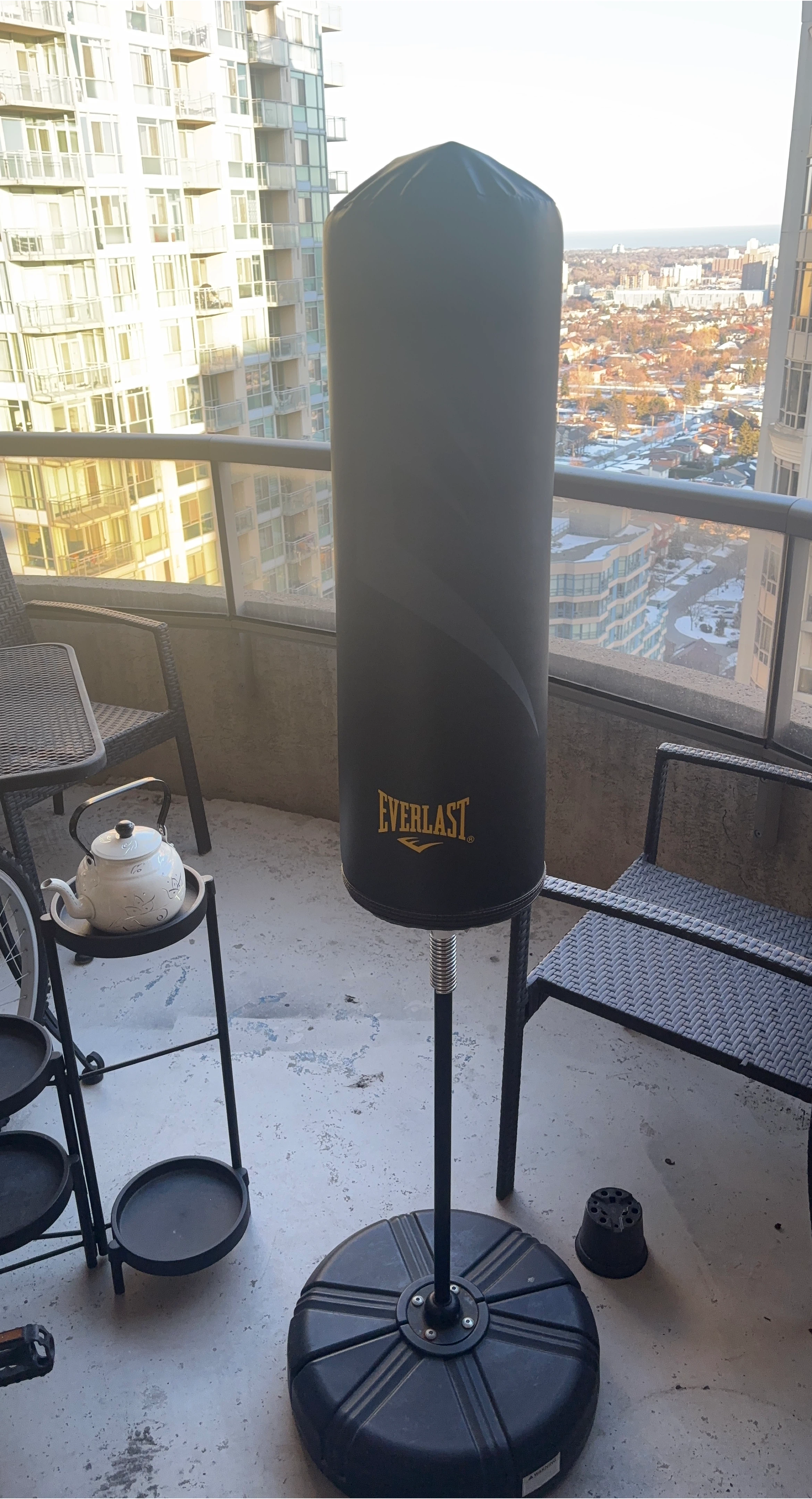 Everlast Punching Bag