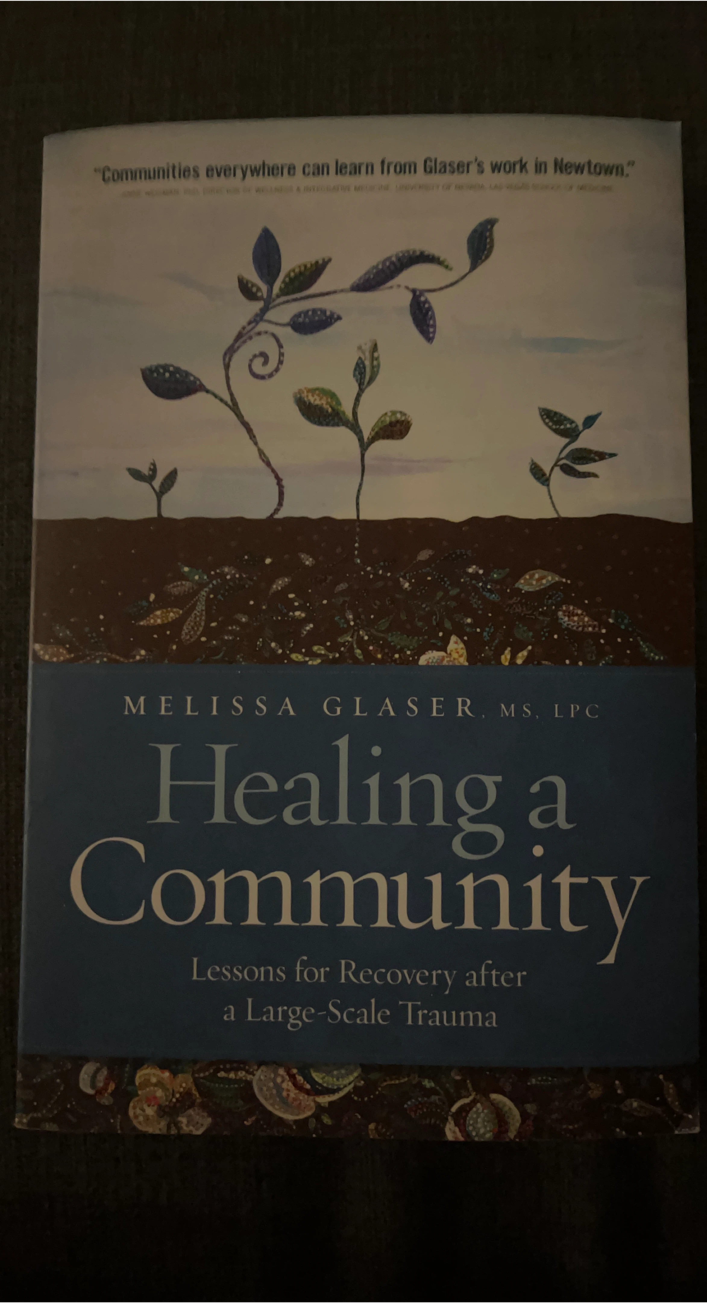 Healing a Community: Lessons after Large scale trauma