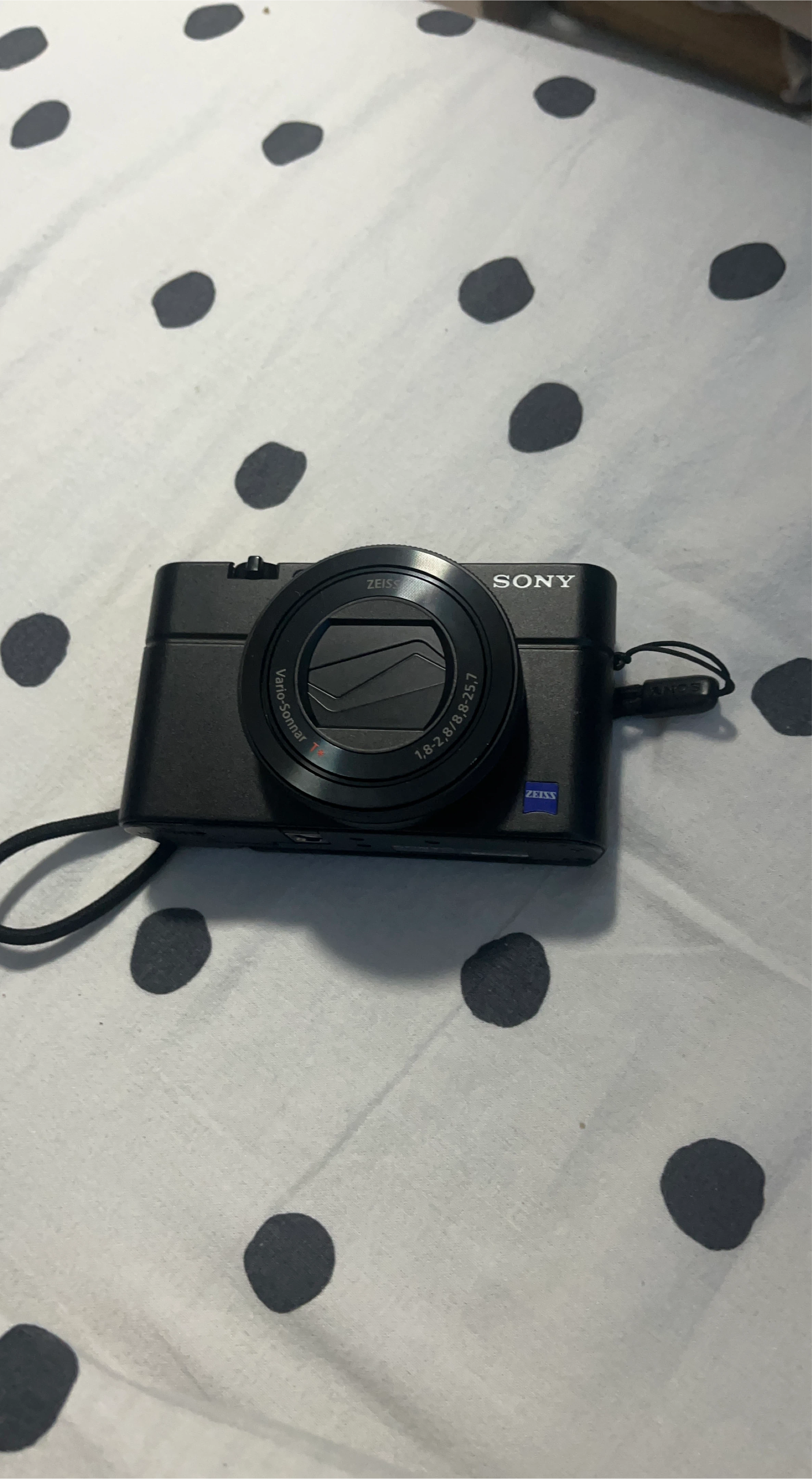 Sony Cyber-shot DSC-RX100 V Digital Camera
