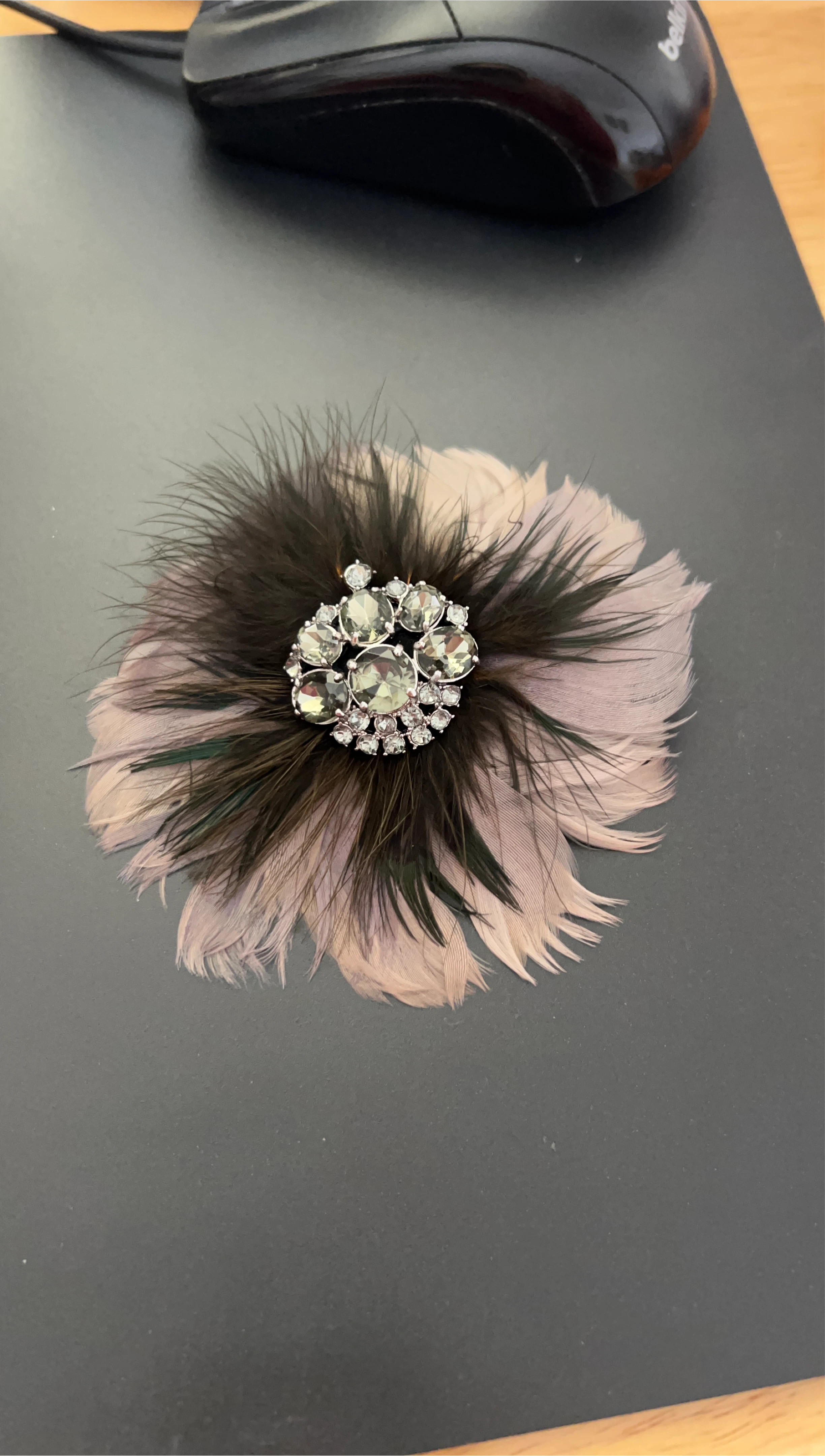 Feather and Crystal Brooch