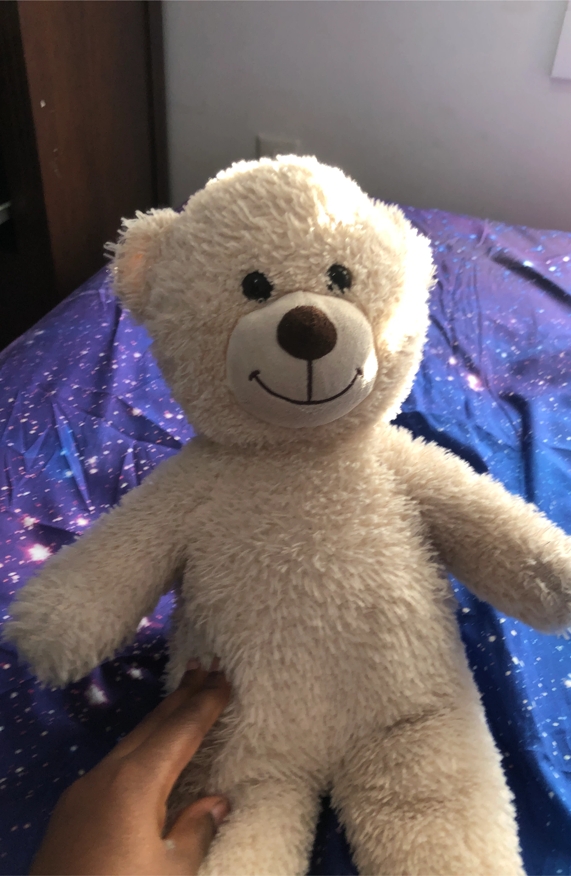 plush teddy