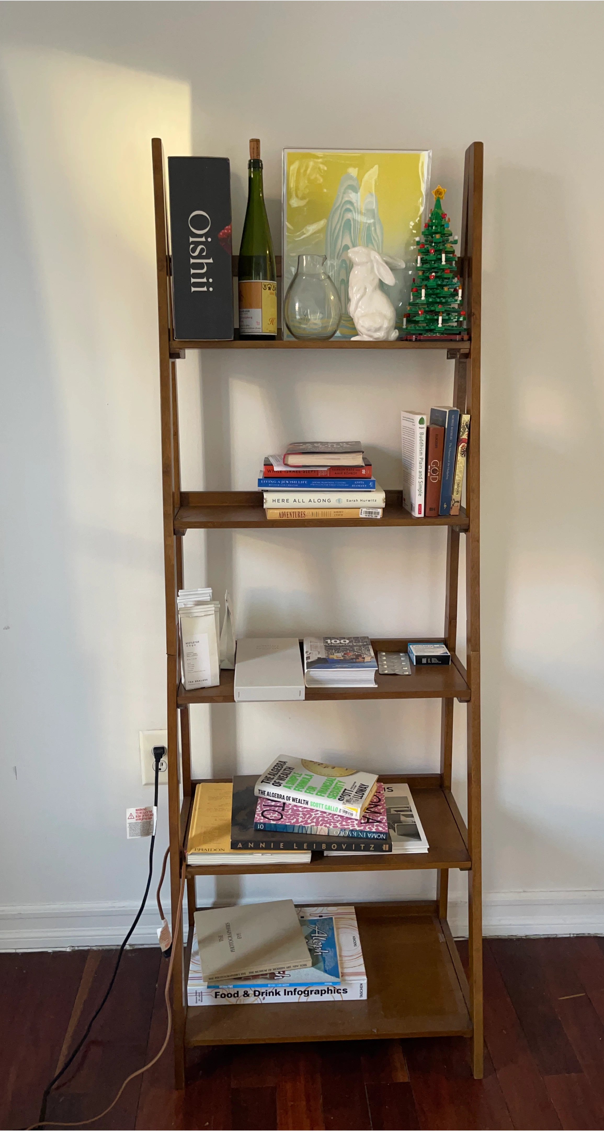 Ladder bookshelf