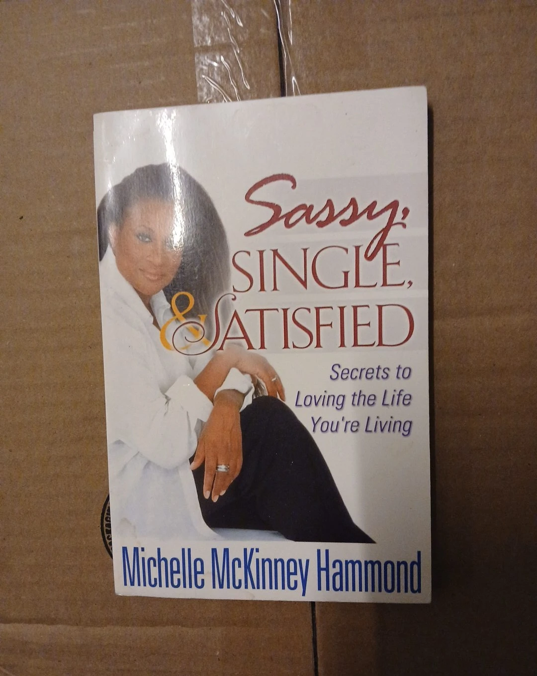 Sassy, Single, & Satisfied by Michelle McKinney Hammond