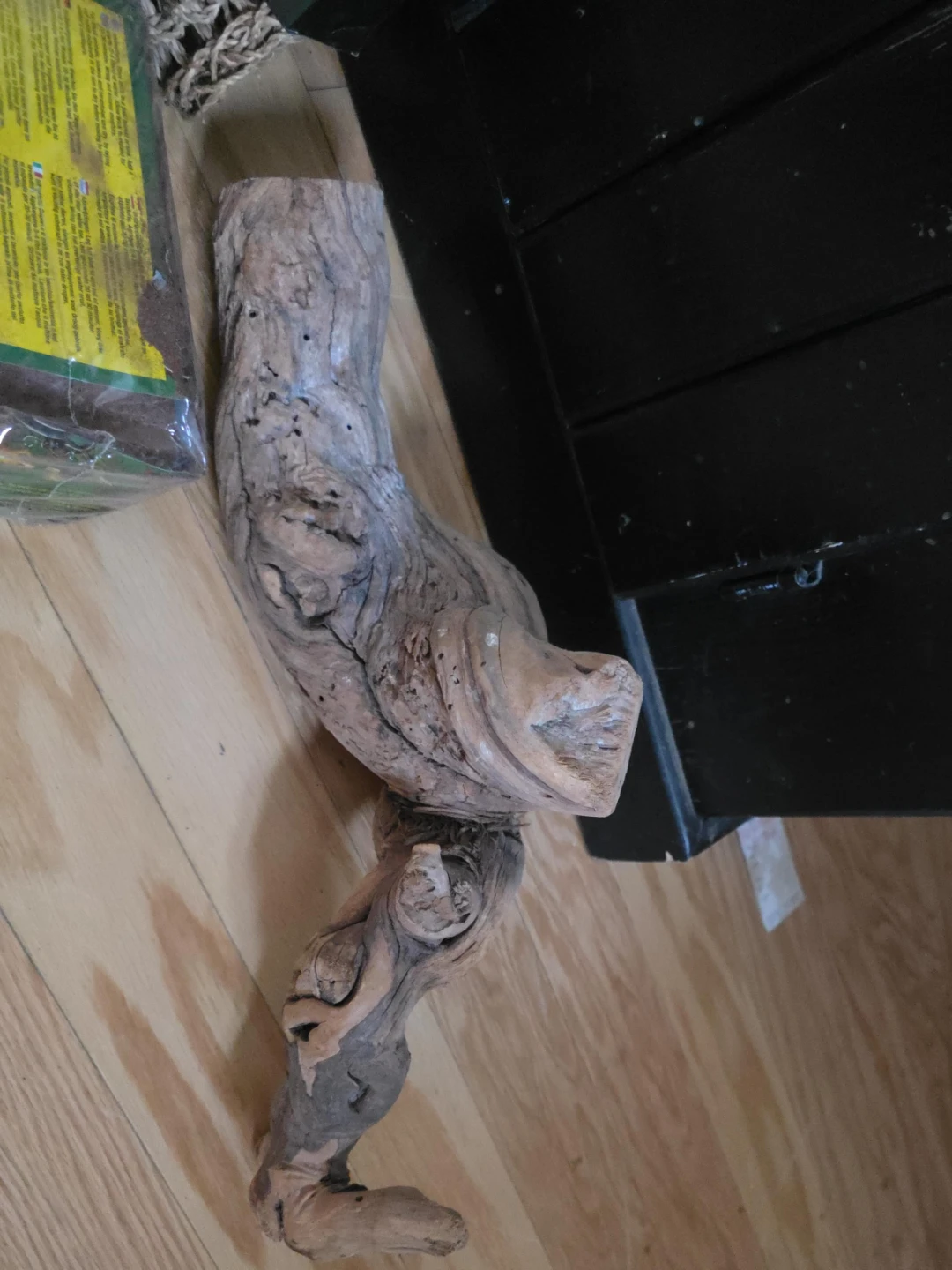 Natural Driftwood Accent Piece