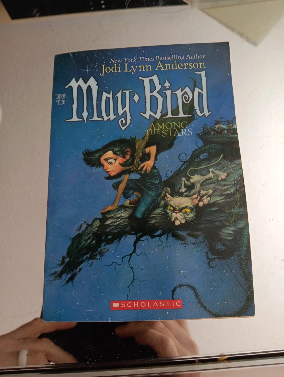 May Bird Among the Stars Book Two by Jodi Lynn Anderson