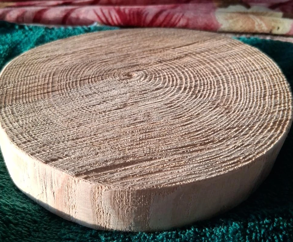 Wooden Coaster or Trivet Slice