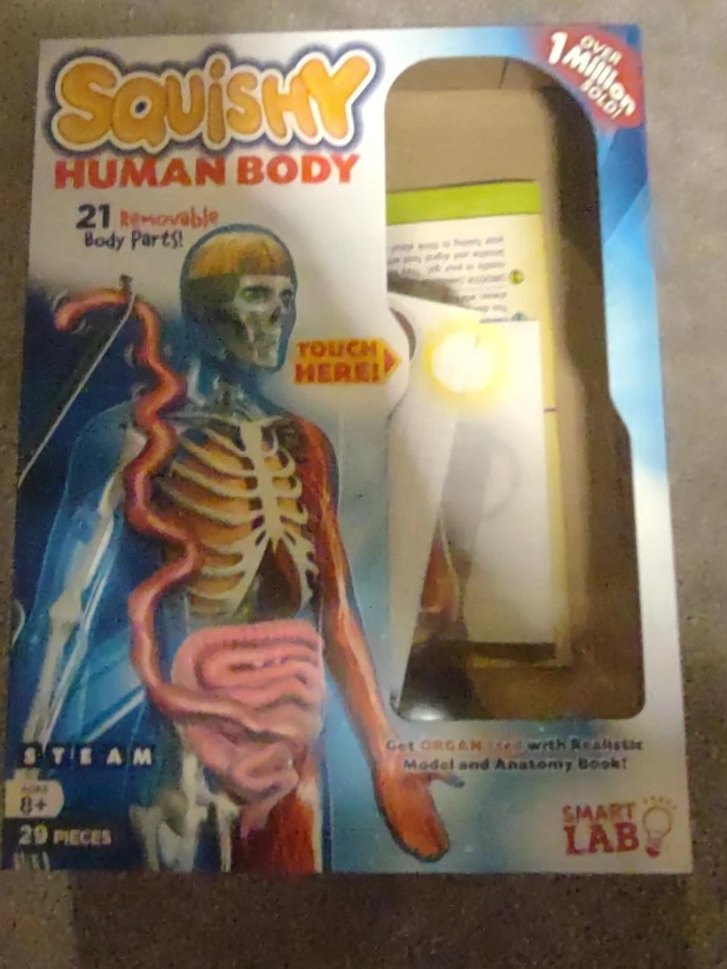 Smart Lab Squishy Human Body Model with Anatomy Book