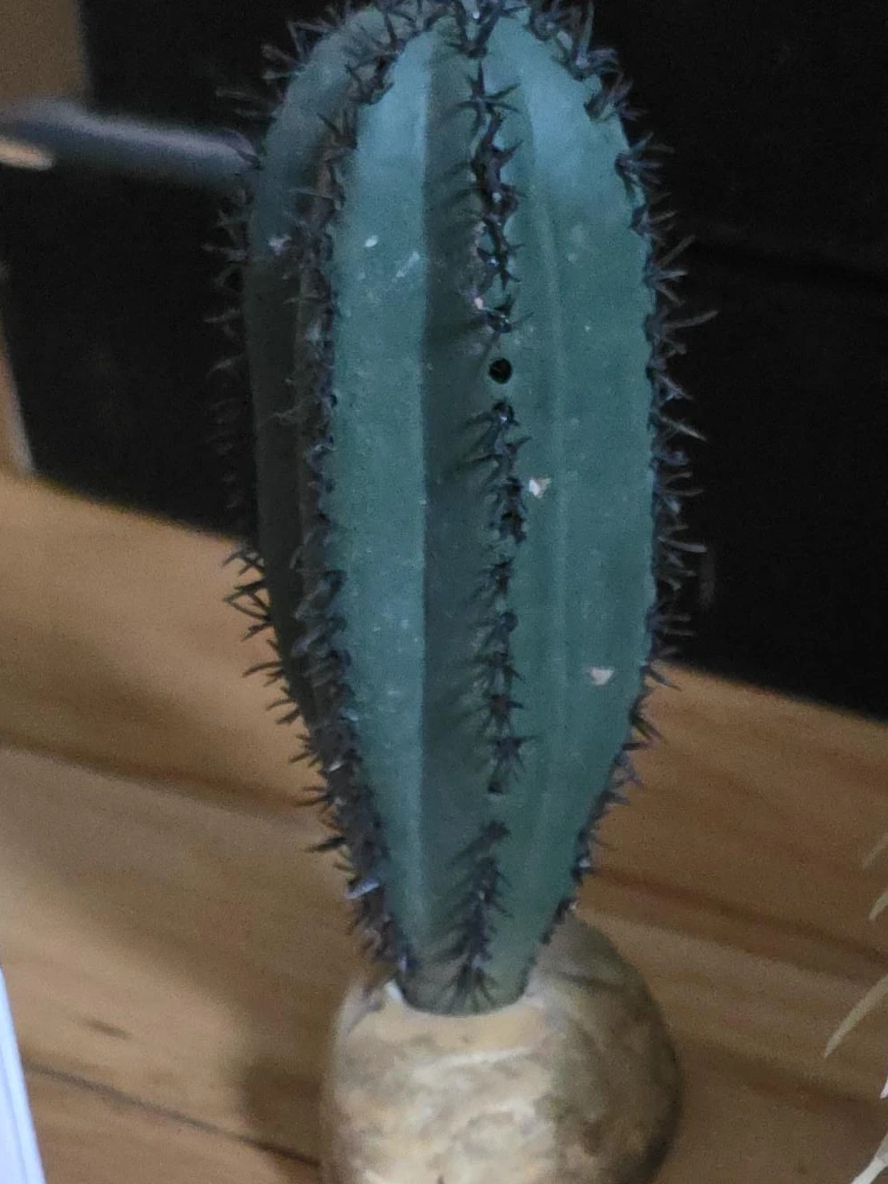 Artificial Cactus Plant