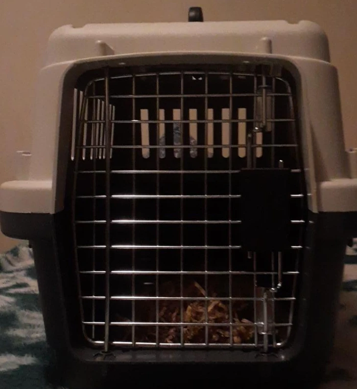 Pet Carrier Crate