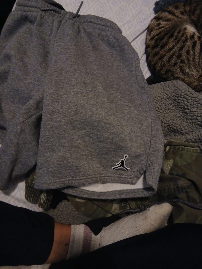 Jordan Grey Sweat Shorts