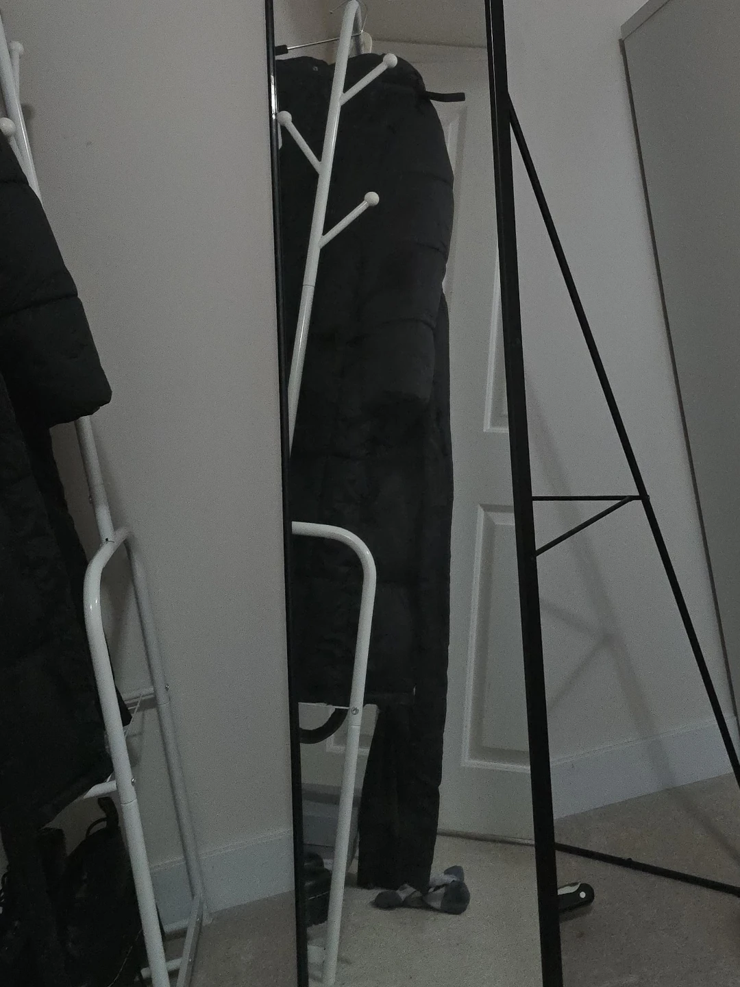 Standing Full Length Mirror