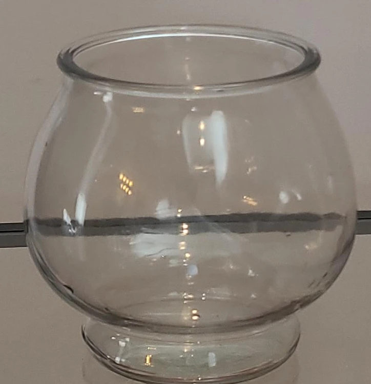Clear Glass Bud Vase/fish bowl