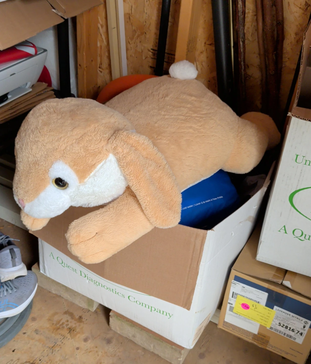 Large Plush Bunny Stuffed Animal
