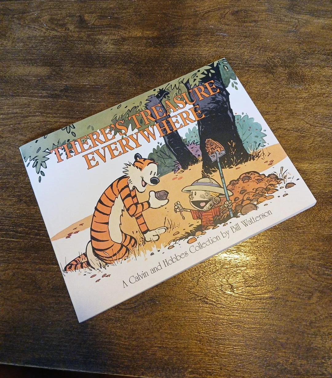 Calvin and Hobbes "There's Treasure Everywhere" Collection Book