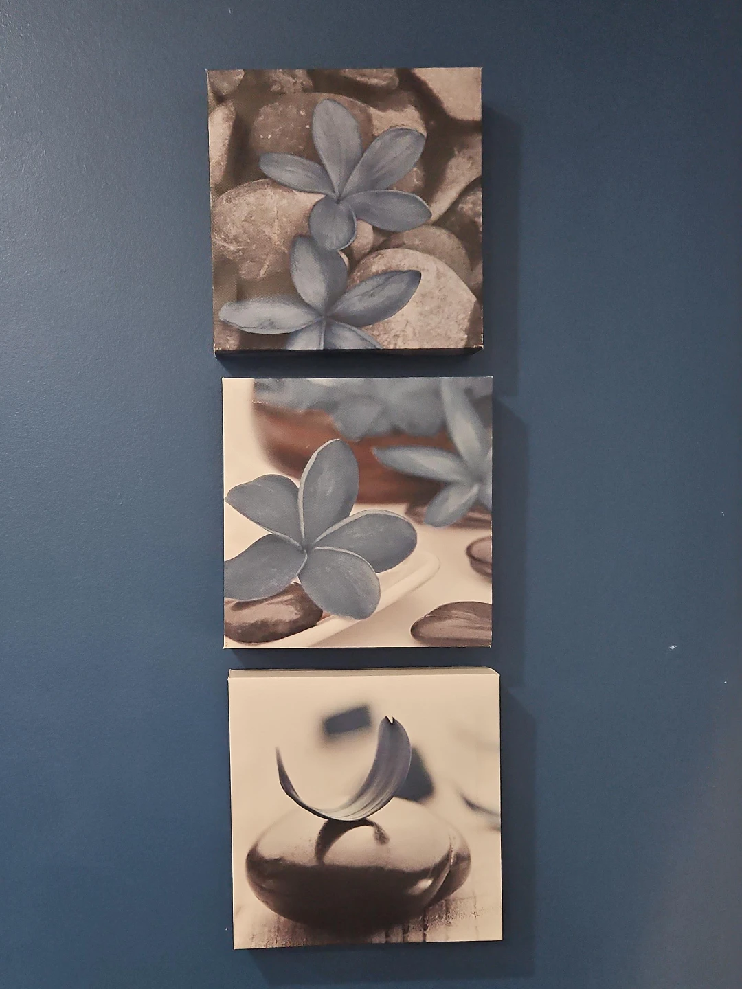 Set of 3 Canvas Wall Art Prints