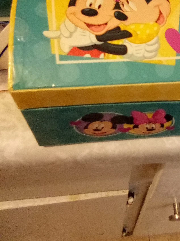 Disney Mickey and Minnie Mouse Tin Box
