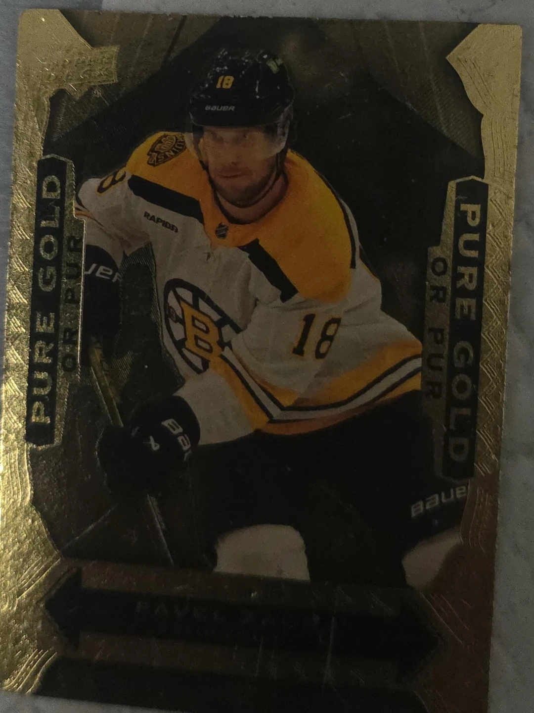 Pavel Zacha Boston Bruins Hockey Card