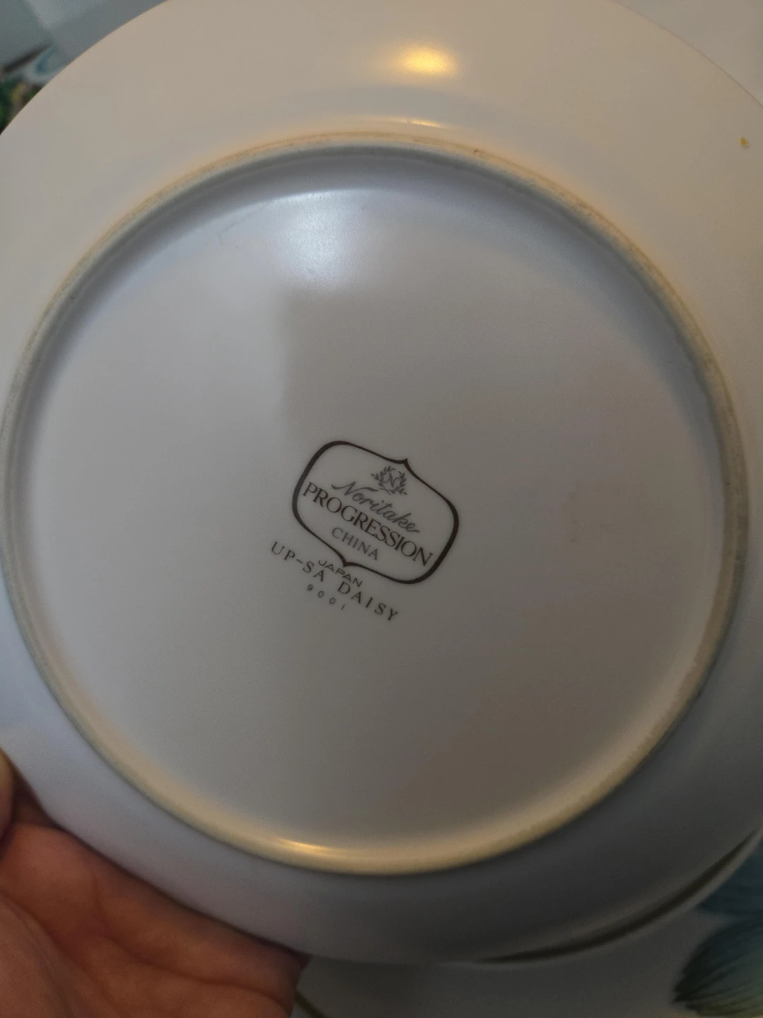 Noritake Progression "Up-Sa Daisy" China Plates