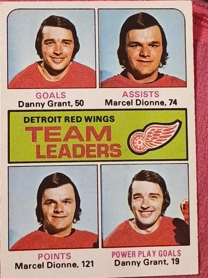 Detroit Red Wings Team Leaders Hockey Card