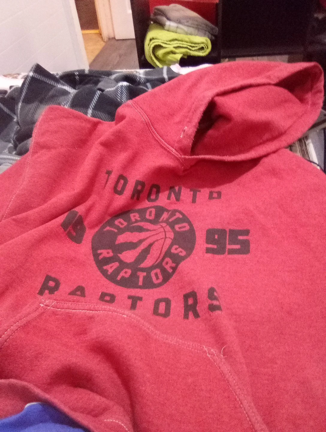 Toronto Raptors Hoodie