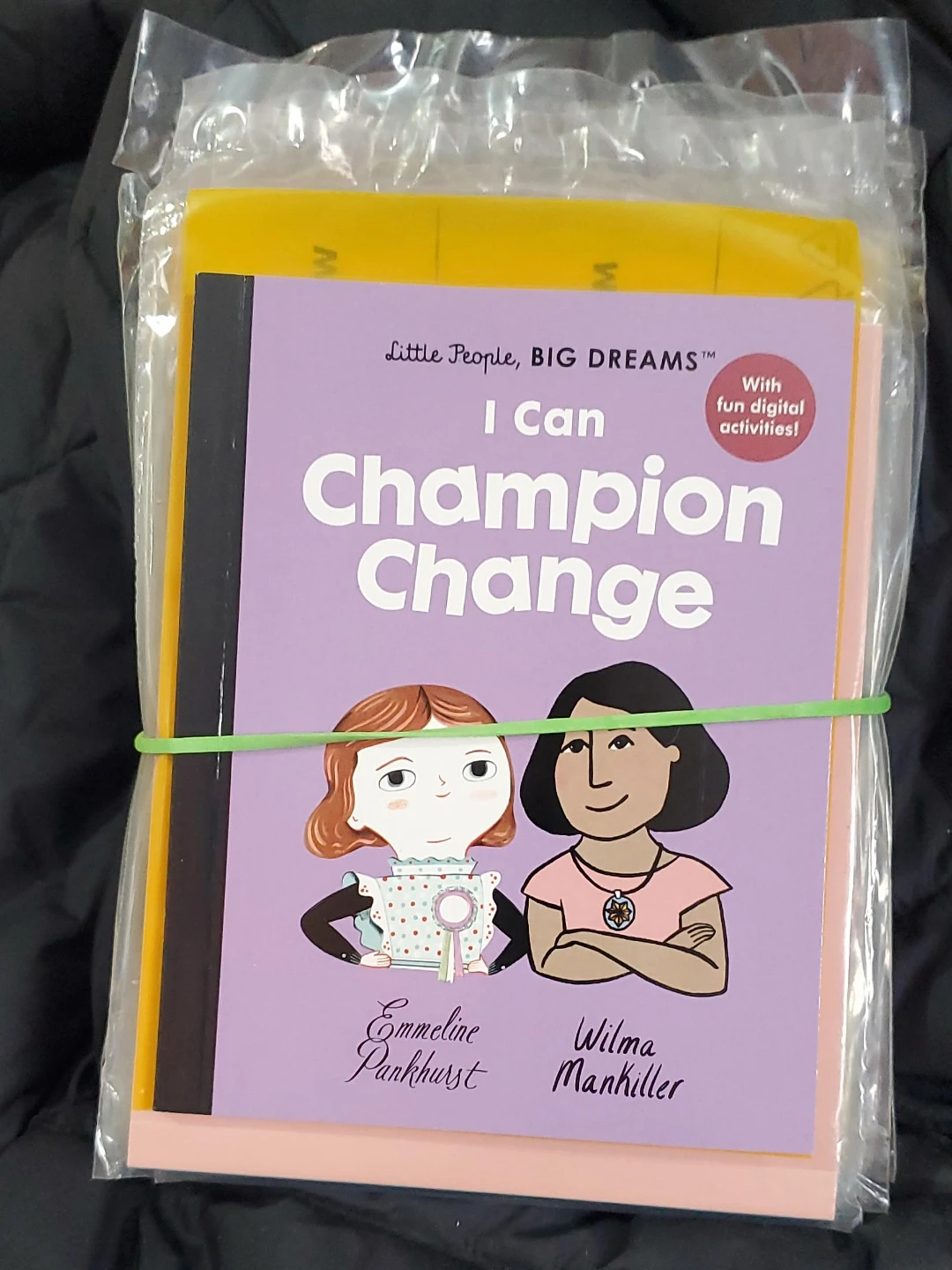 Little People, BIG DREAMS: I Can Champion Change 6 books