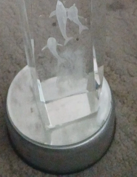 Crystal Dolphin Engraved Light-Up Display