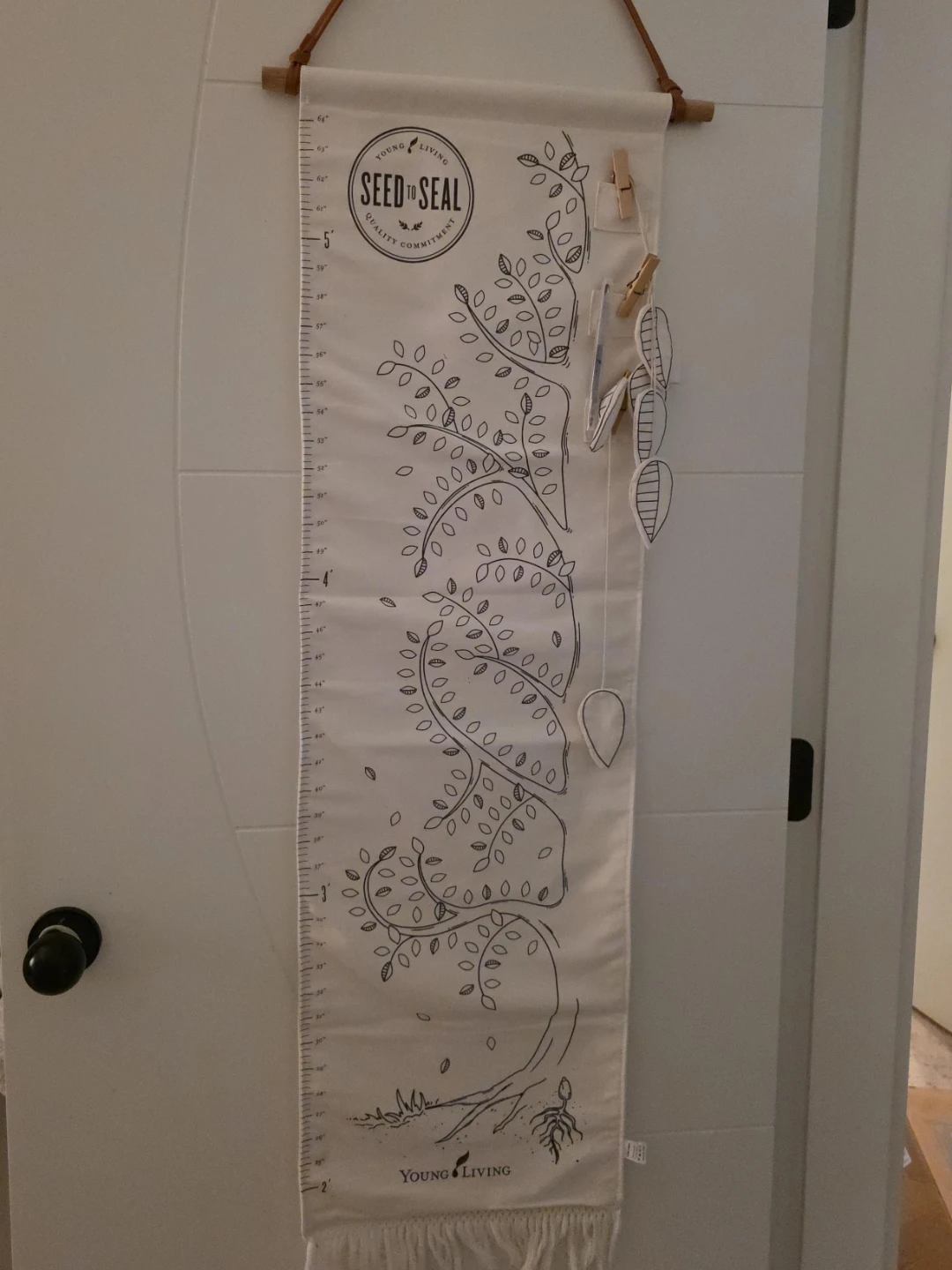 Young Living Seed to Seal Growth Chart