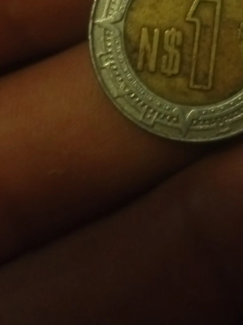 1 N$ Coin