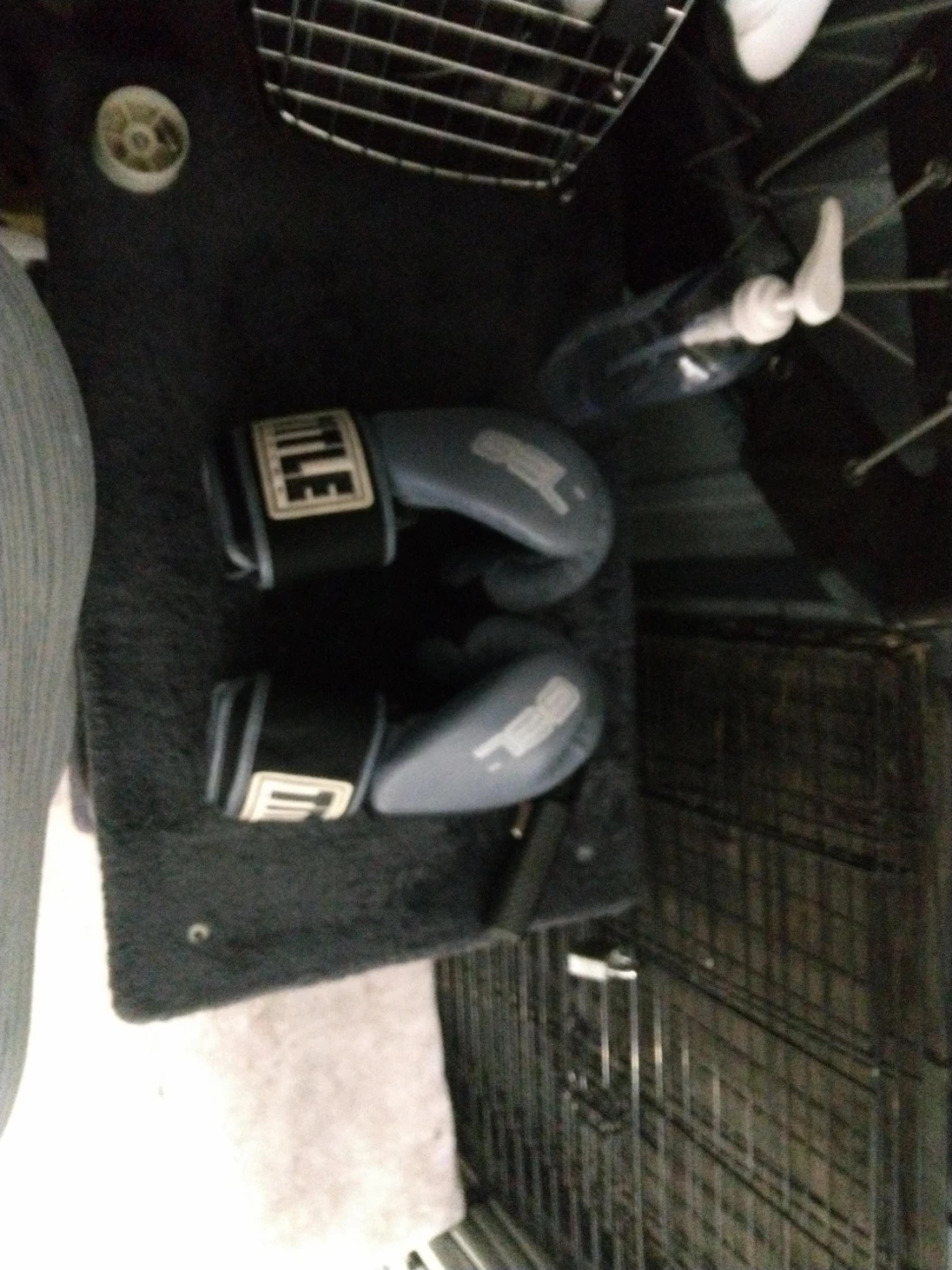 TITLE Boxing Training Gloves