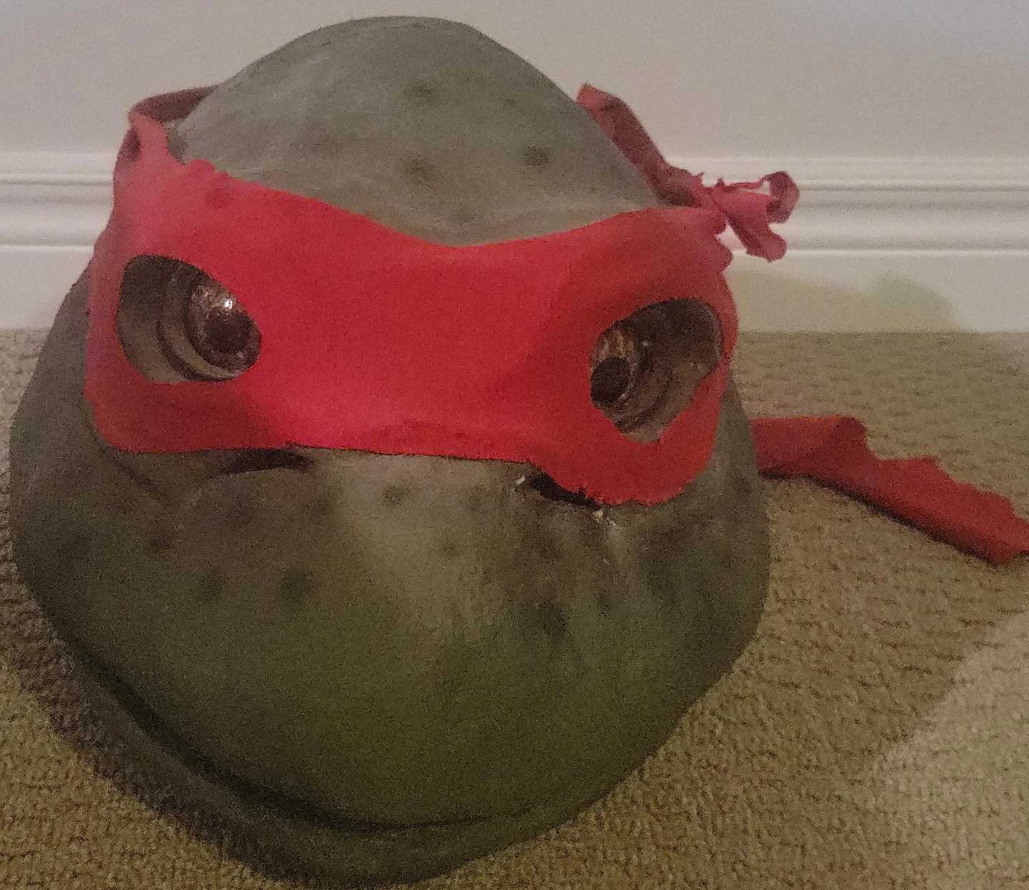 Teenage Mutant Ninja Turtles Raphael Mask Toy