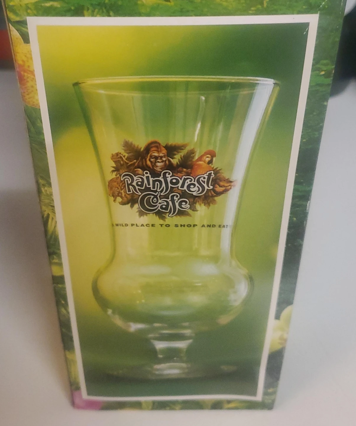 Rainforest Cafe Glass