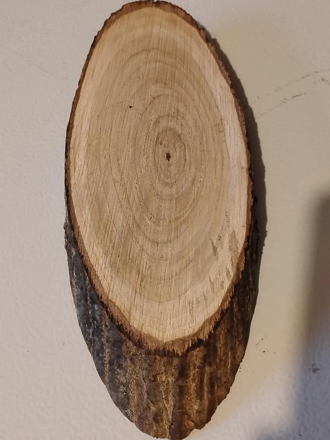 Wooden Slice