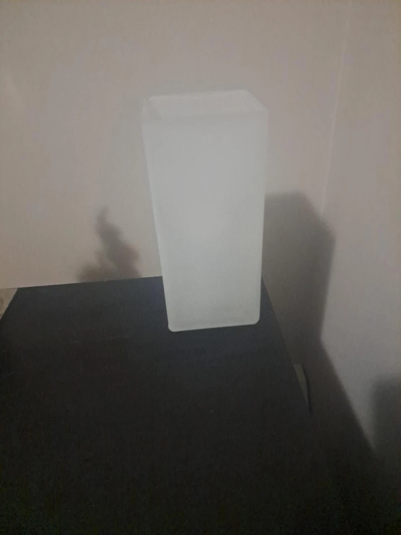 Frosted Glass Vase
