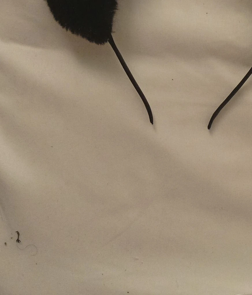 Black Fuzzy Ear Headband - photo 2
