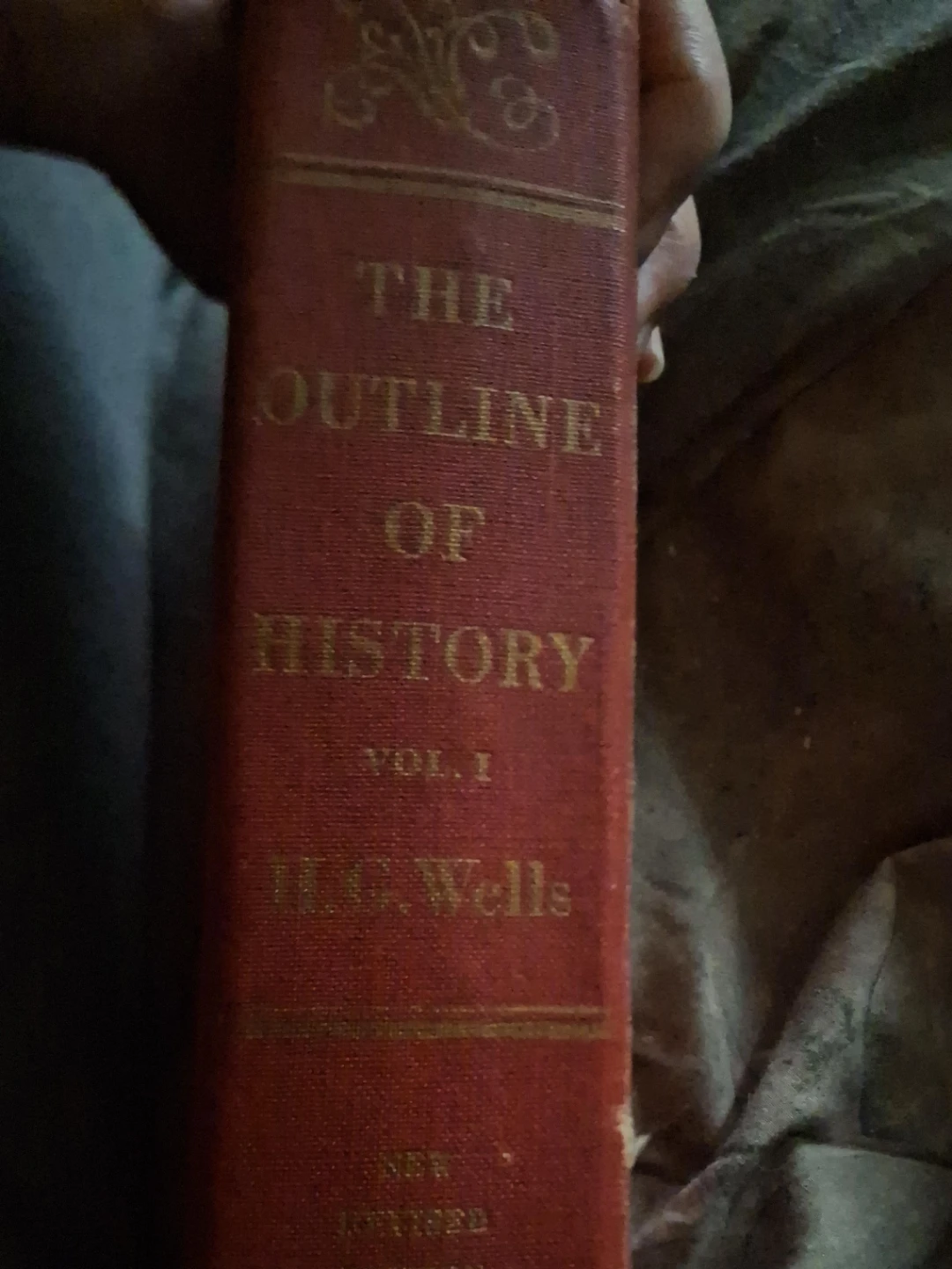 The Outline of History Vol. 1 par H.G. Wells