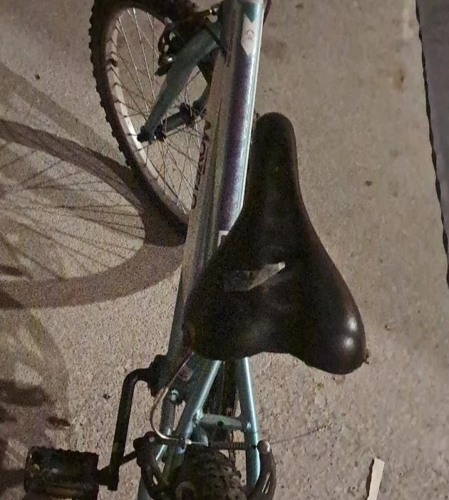 Blue Mountain Bike