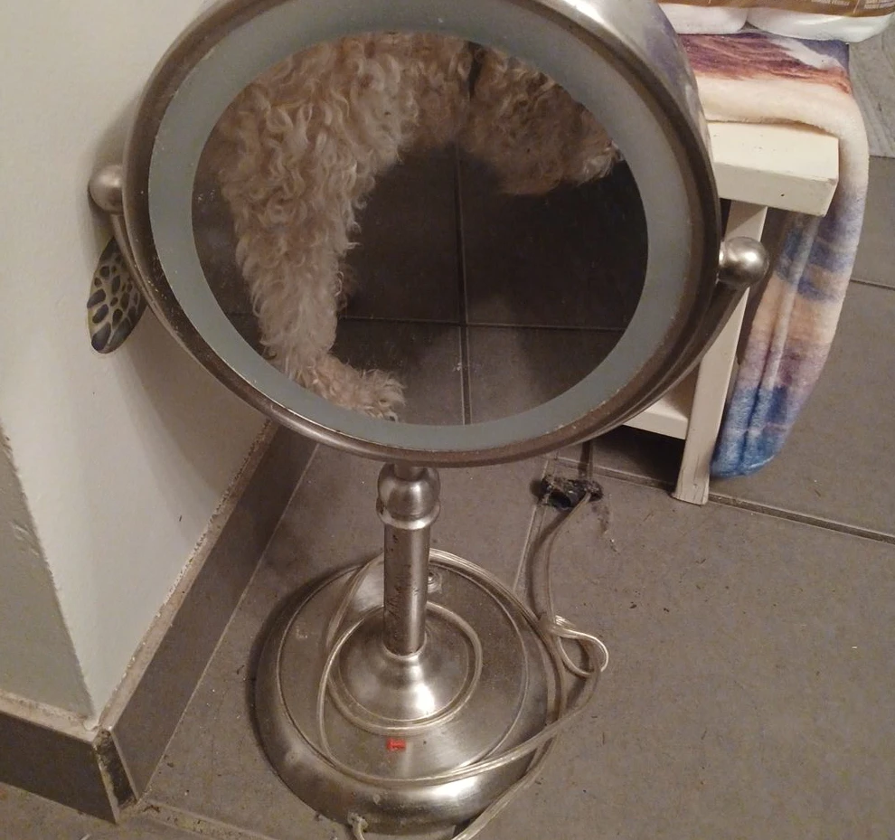 Illuminated Vanity Mirror