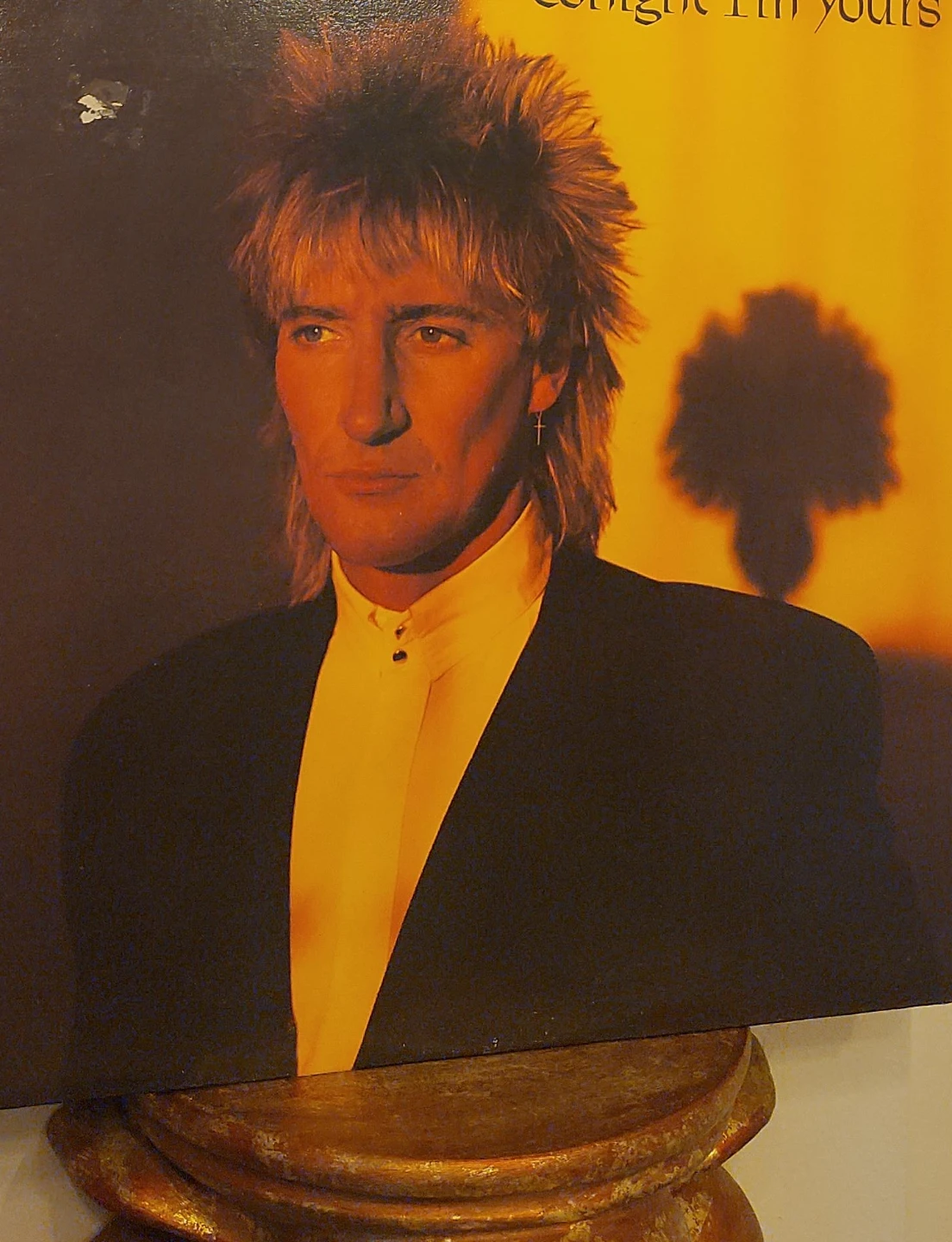 Rod Stewart Tonight I'm Yours Album