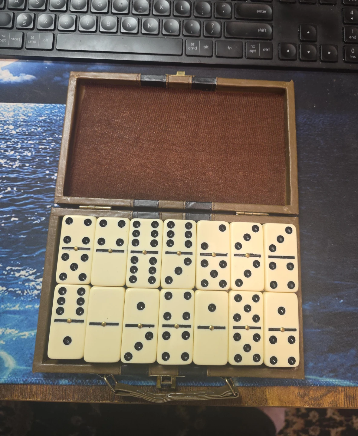 Domino Set with Case
