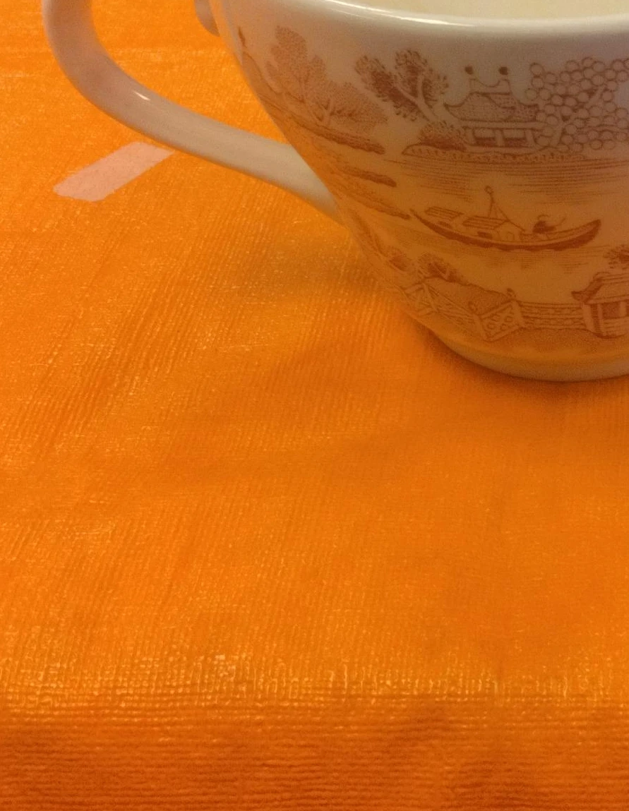 Teacup with Willow Pattern