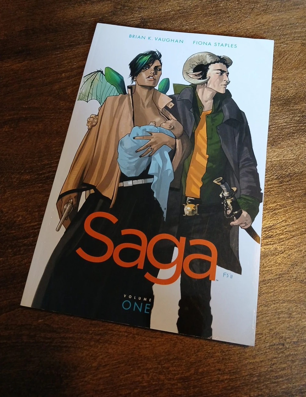 Saga Volume One Graphic Novel