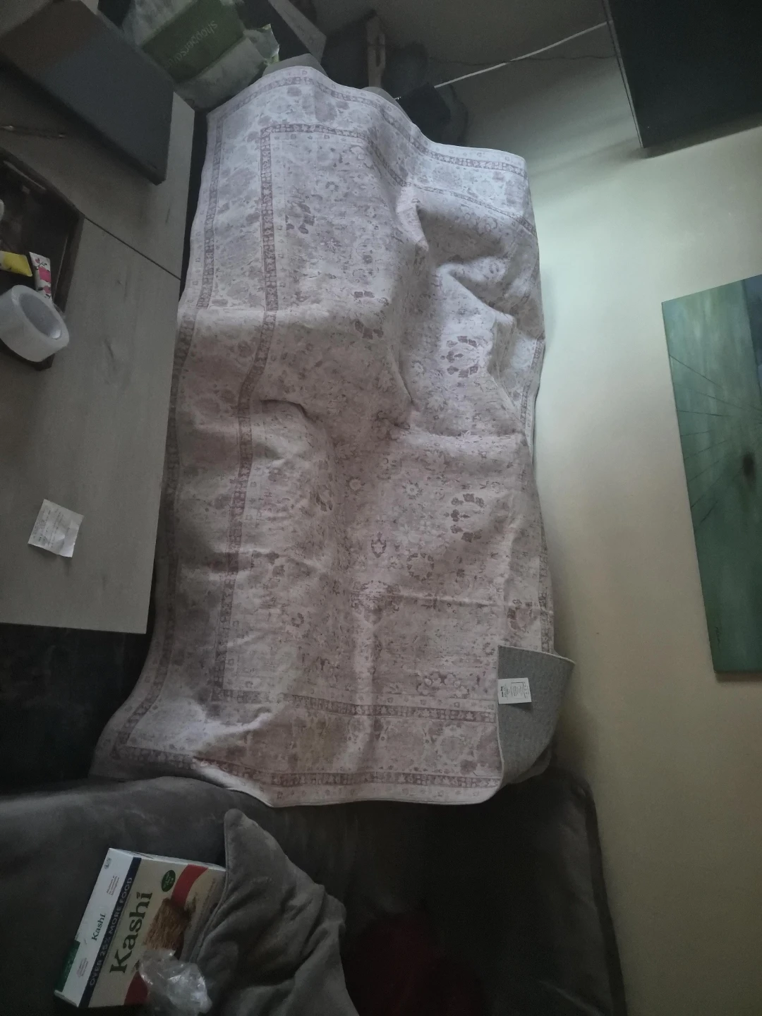 Brand new Area Rug 5'x7'