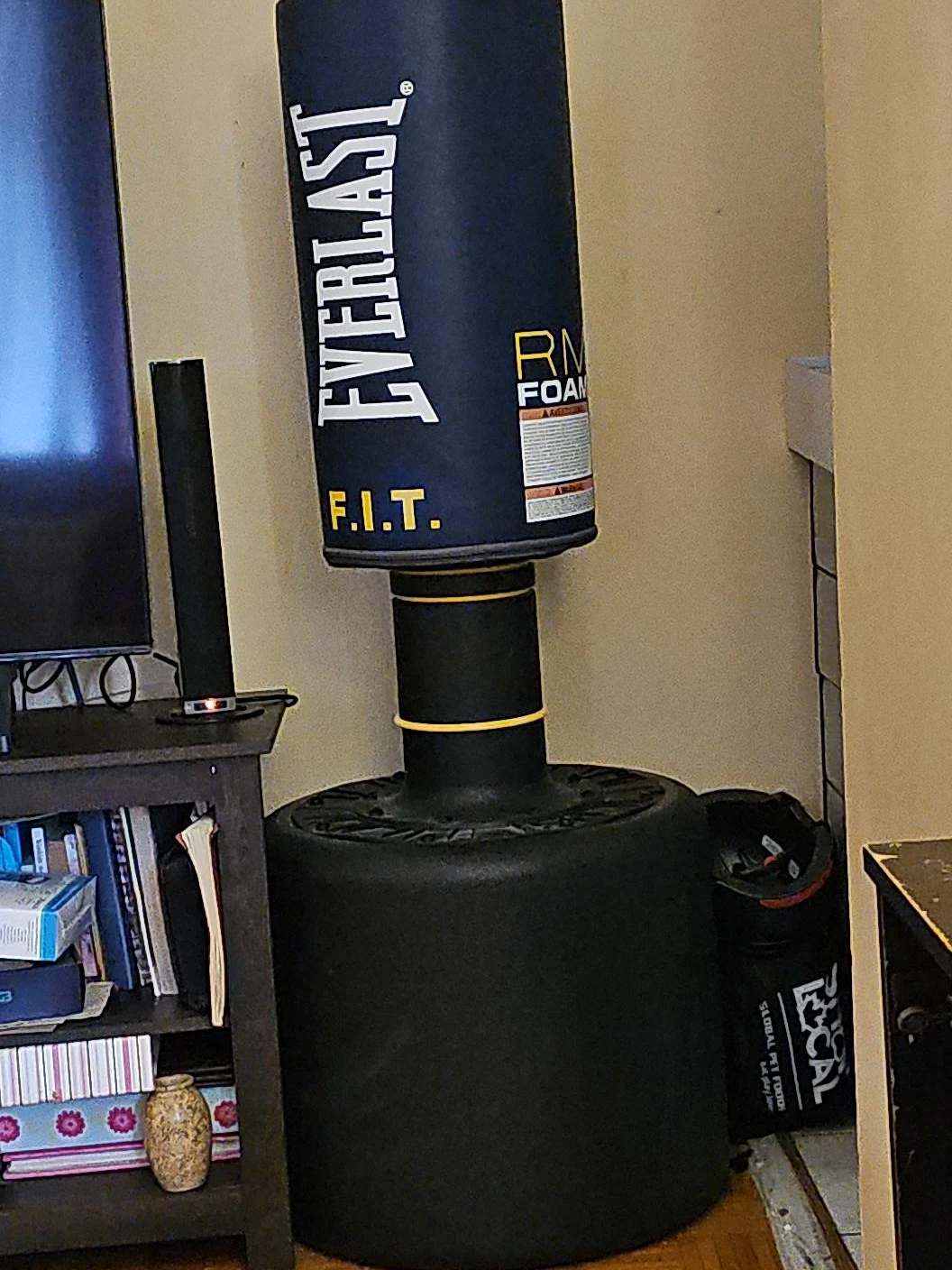 Everlast F.I.T. Free Standing Punching Bag