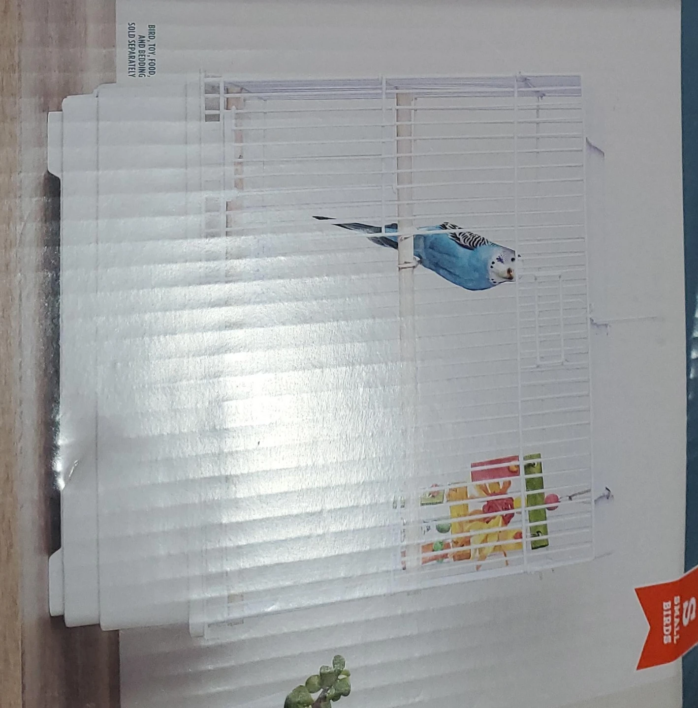 Small Bird Cage