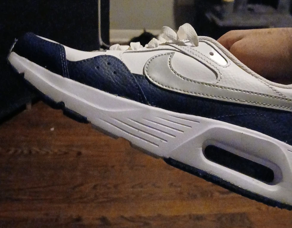 Nike Air Max Sneakers Blue White