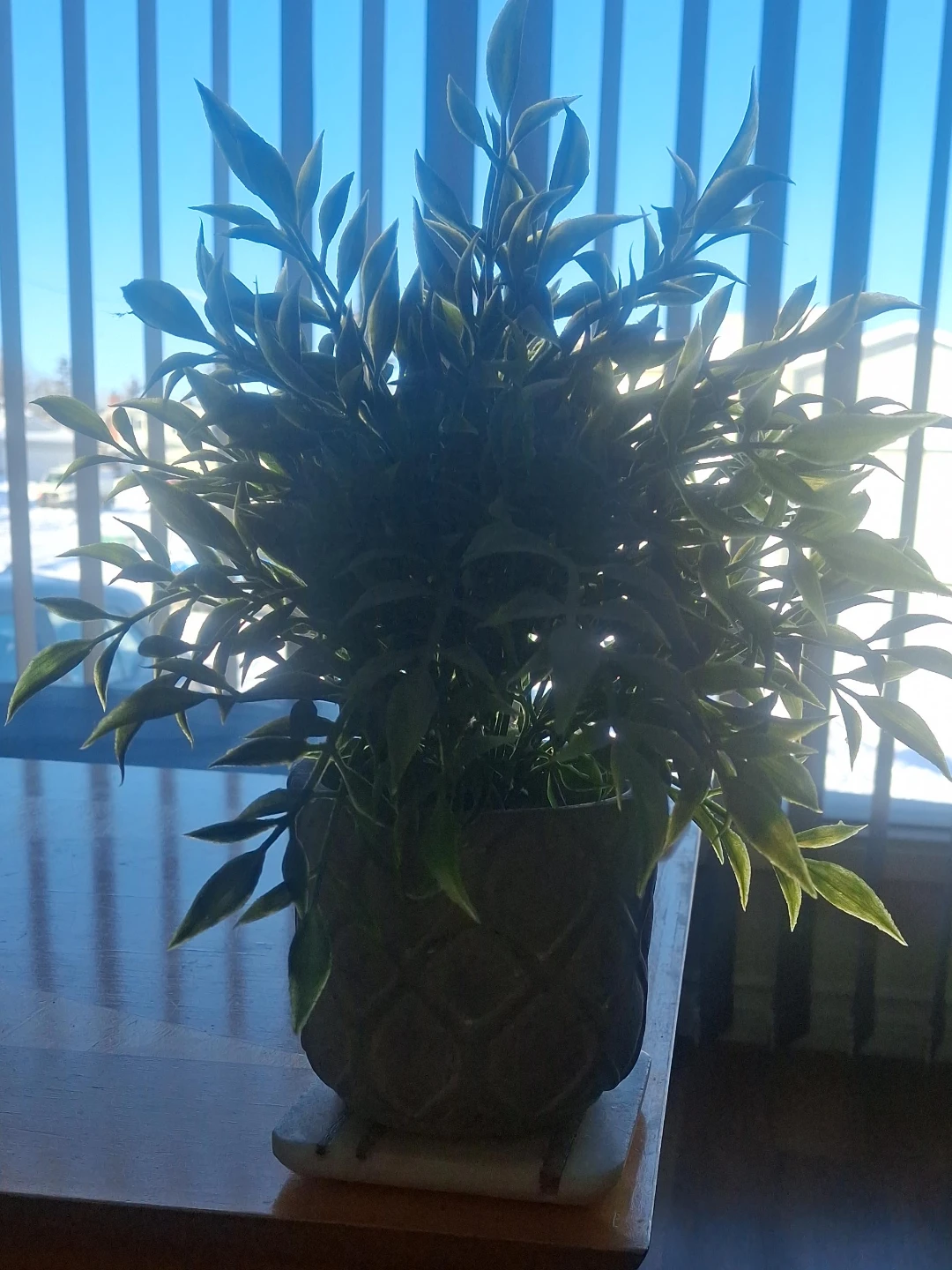 Artificial Green Plant in ceramic Pot - photo 2